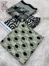 BIN SAEED - 3 PC LAWN UNSTITCHED | - DKF 09